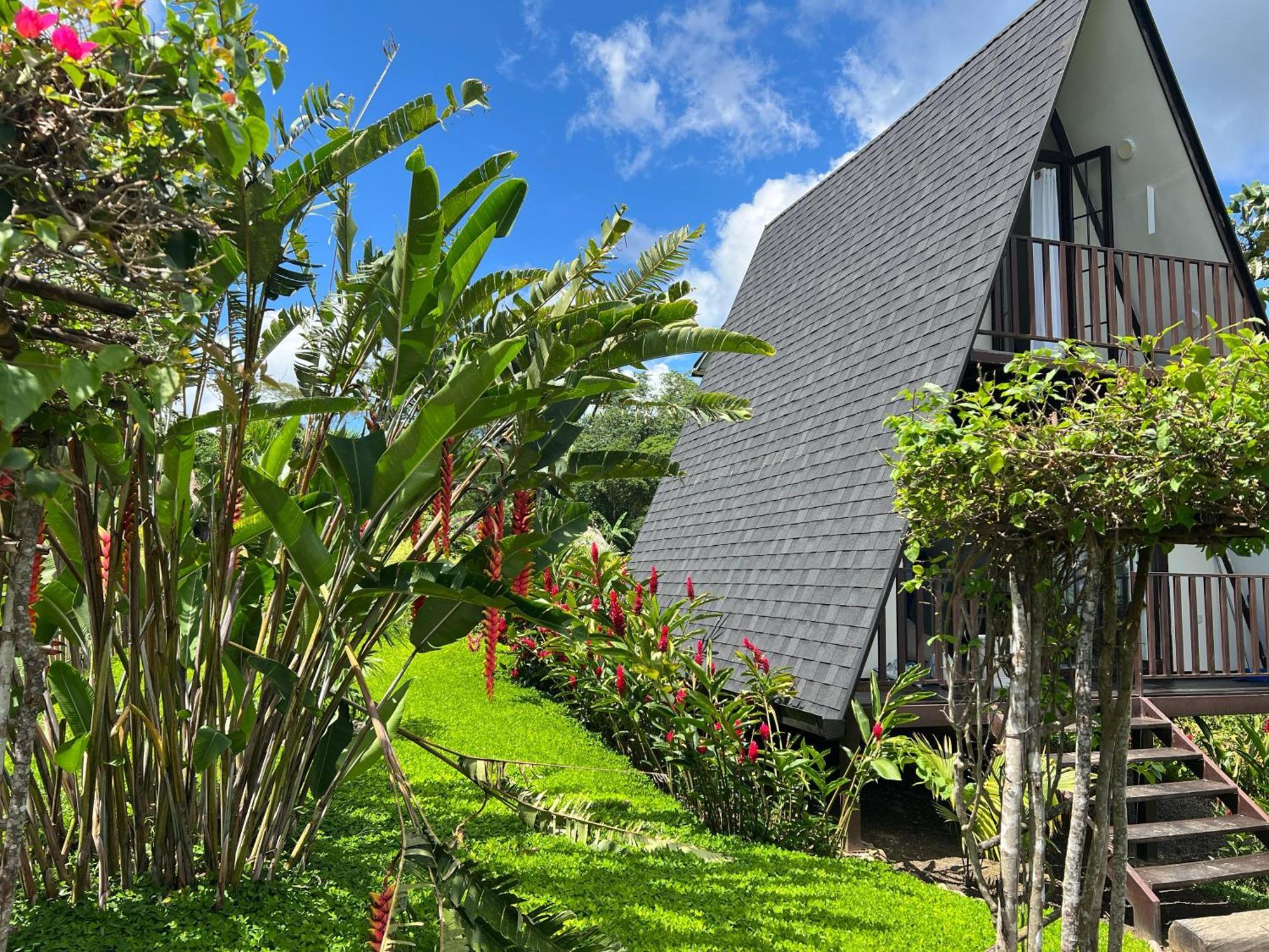 El Resort De Yanashpa - Tarapoto Oda fotoğraf