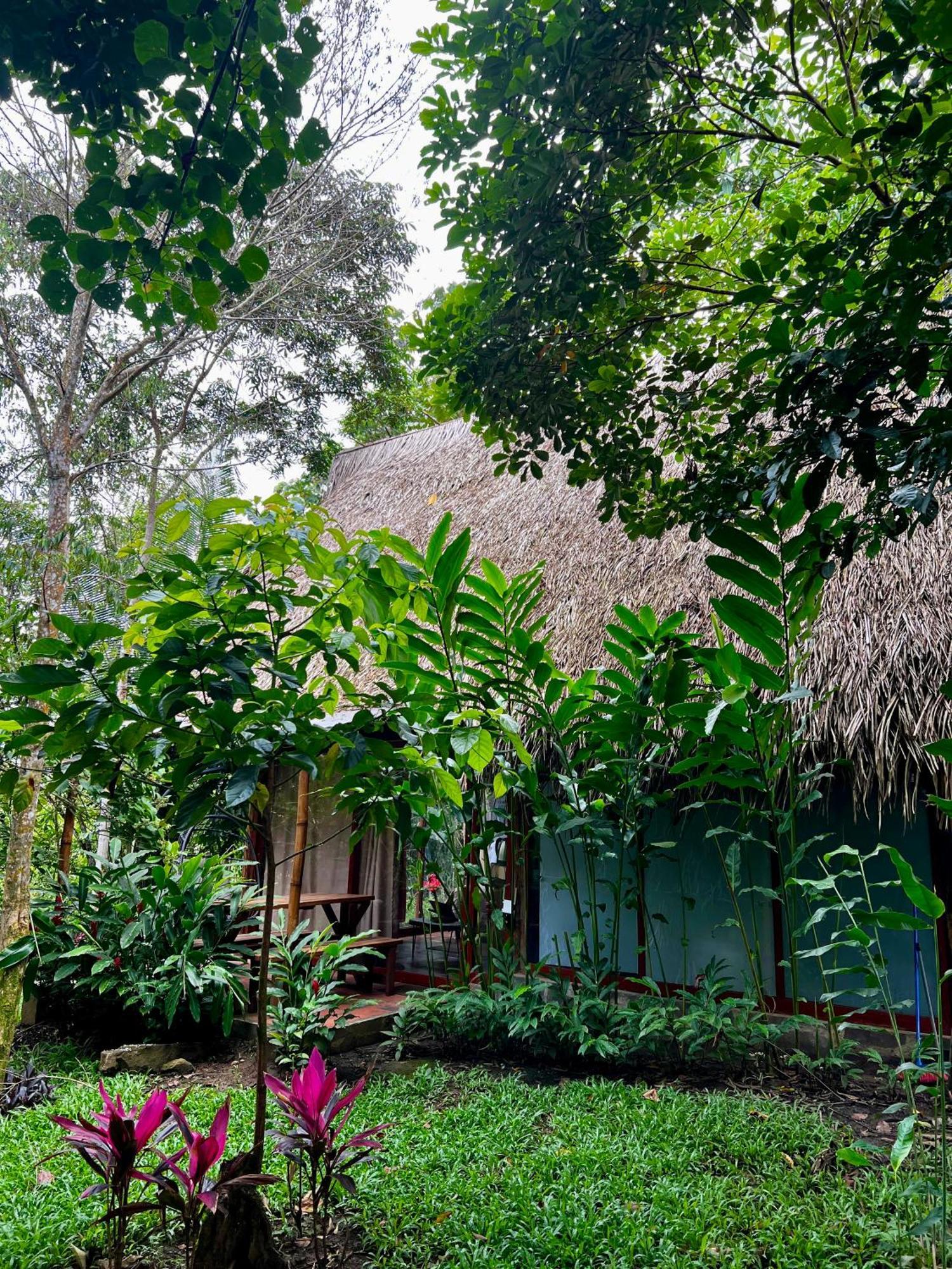 El Resort De Yanashpa - Tarapoto Dış mekan fotoğraf